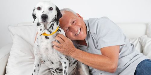 Hunde-Krankenversicherung